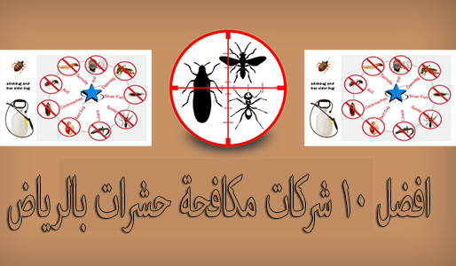 افضل 10 شركات مكافحة حشرات بالرياض